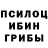 Псилоцибиновые грибы Magic Shrooms Justine Saunders