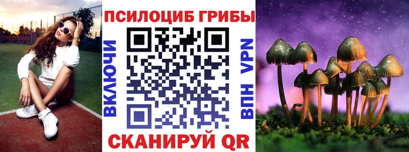 Псилоцибиновые грибы прущие грибы  купить наркоту  Таштагол 
