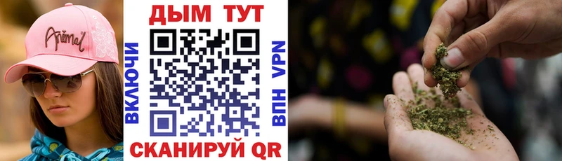 MEGA маркетплейс  Таштагол  Каннабис тримм 